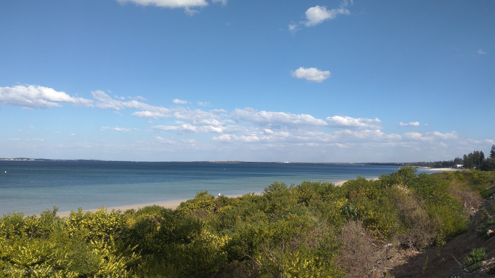 Century 21 Bayview Agent Launches Comprehensive St George Suburb Guides Covering 21 Suburbs