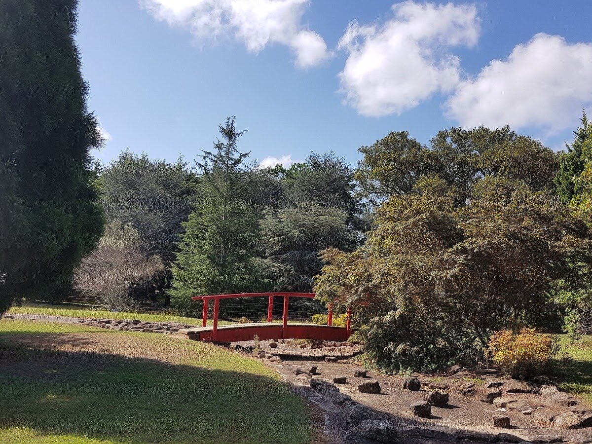 Rockdale Bicentennial Park Japanese-style garden with red bridge and lush greenery, peaceful green space in Sydney NSW 2216
